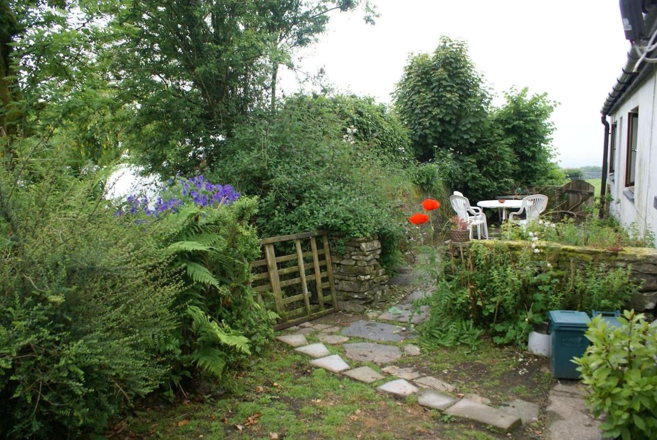 Inviting 2-Bed Cottage In Newcastle Emlyn Kültér fotó