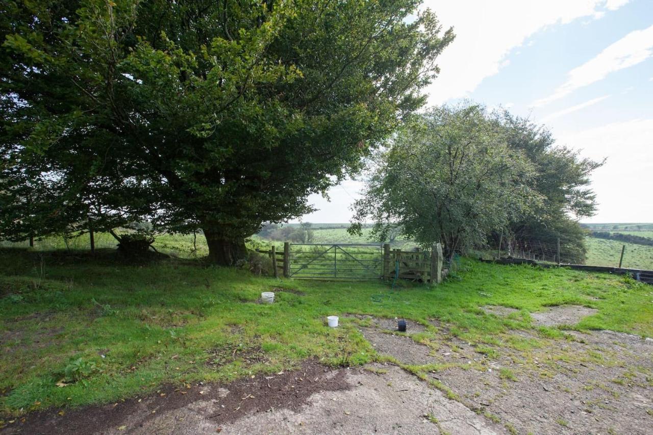 Inviting 2-Bed Cottage In Newcastle Emlyn Kültér fotó